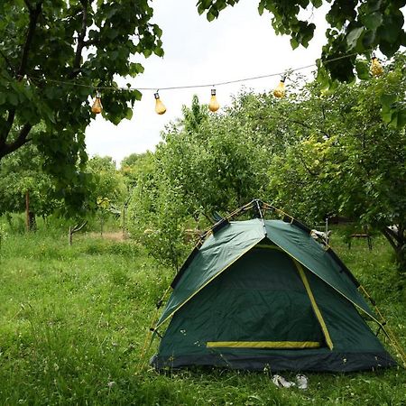 Noosh Guesthouse Ashnak エクステリア 写真
